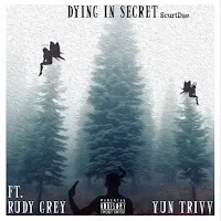 Scurtdae